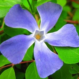 Meet your Posher, Annie